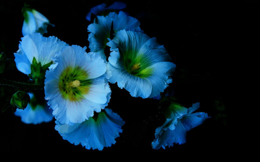 915704 (a): :2560x1600